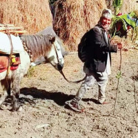 काठमाडौंको तारकेश्वरमा उच्च क्षमताको सवस्टेशन बनाउँदै प्राधिकरण