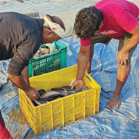 नेपालको कर प्रणालीमा गुगल दर्ता