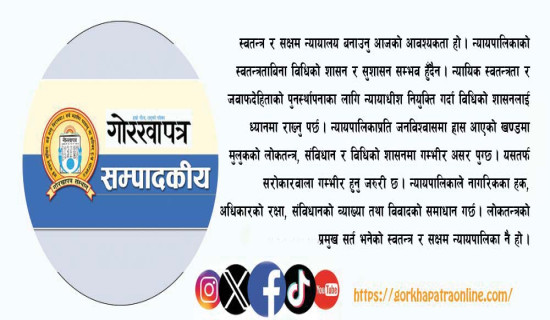 विद्युत् व्यापार दिगो बनाउन सरकार क्रियाशील