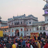 सयपत्री फूलको व्यावसायिक खेतीबाट आम्दानी