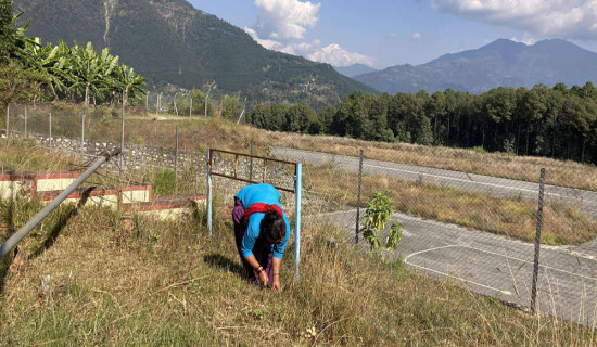 मिडिया सोसाइटी अवार्डद्वारा पत्रकार घर्ती सम्मानित