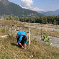 सरकारी खर्चमा व्यापक कटौती