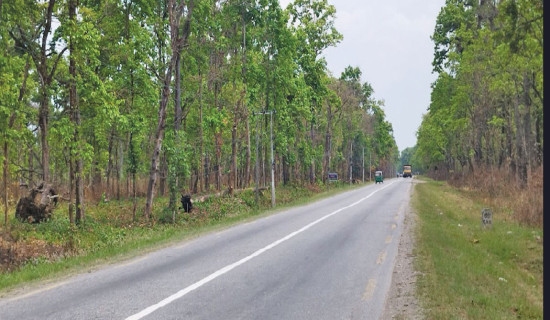 न्यायपालिकाको पूर्वाधार