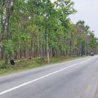 सार्वजनिक यातायात सुधारका लागि कार्यदल गठन