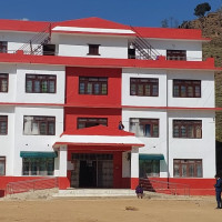 गाइने किरा हराउँदा कृषिमा समस्या