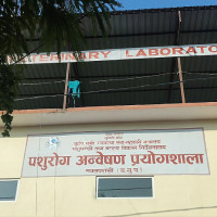 निगालपानी जिनावाङ कृषि सडक कालोपत्रे हुने