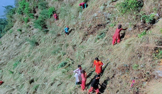 निगालपानी जिनावाङ कृषि सडक कालोपत्रे हुने