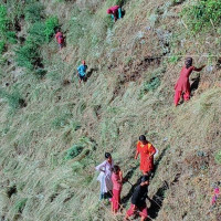 २३ वर्षदेखि दुध डेरीमा एकछत्र राज