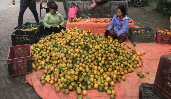 २३ वर्षदेखि दुध डेरीमा एकछत्र राज