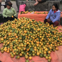 तिहारको मुखमा चाँदीको कालोबजारी