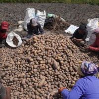 सप्तरीमा १२ हजार ६५८ जना नयाँ मतदाता थपिए