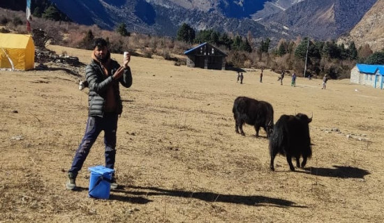 योनीबाट निरन्तर रुपमा पिसाब वा दिसा चुहिन्छ ?, कतै फिस्टुला त भएन