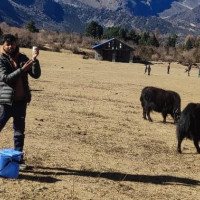 योगले शरीर र दिमागलाई सन्तुलित बनाउँछ : प्रथम राष्ट्रपति