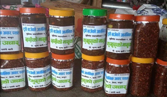 अचारबाट मनग्य आम्दानी गर्दै खाती