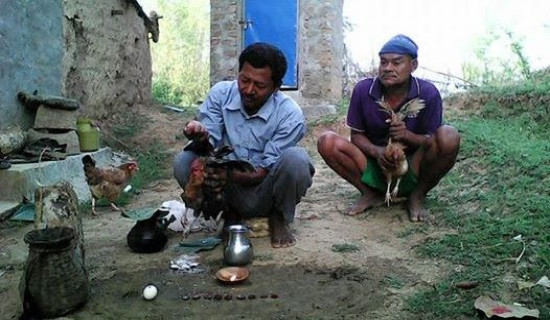 थारू बस्तीमा लौठसारी पूजा