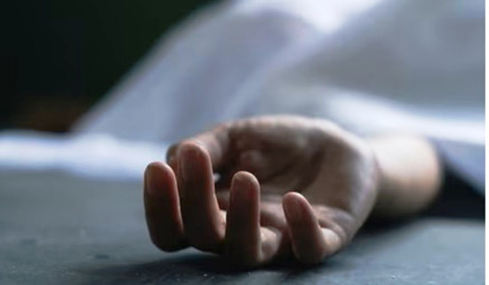 बरमझियाको पेडा