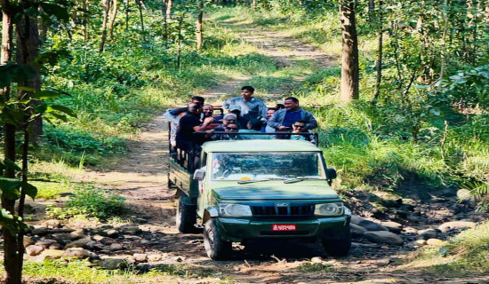 जङ्गल सफारीसँगै बाँके निकुञ्जमा पर्यटकको चहलपहल