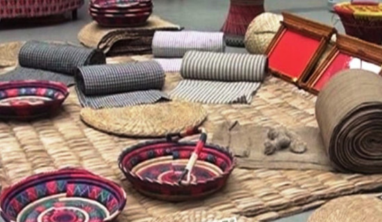 ‘उद्योग जोगाउन तीनै तहका सरकार सक्रिय हुनुपर्ने’