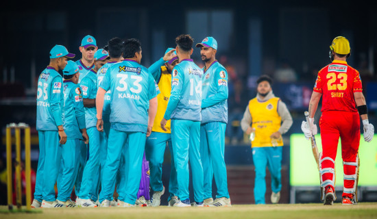 प्रतिनिधिसभा निर्वाचनका लागि ८० दल दर्ता