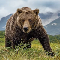 ‘नदेख्ने’ ले देखाइदिए संसारलाई