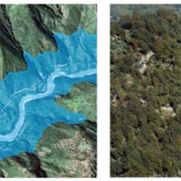 ‘नदेख्ने’ ले देखाइदिए संसारलाई