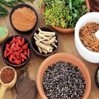 ‘चुनावका लागि दलहरू तयार’