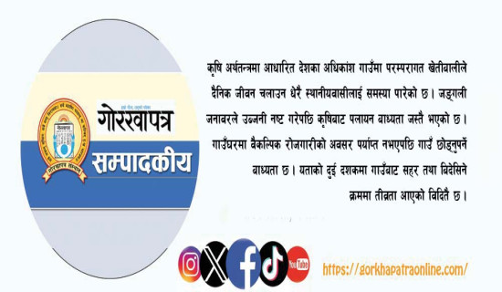 पीडामा गाउँका विद्यालय