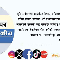 लोकमार्ग र करिडोर जोड्ने मोटरेबल पुलको काम सुरु