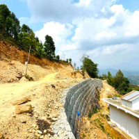 करार कर्मचारी हटाउन आनाकानी