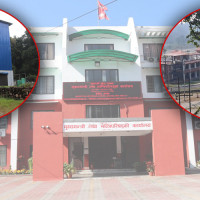 ठुला योजना नै अलपत्र