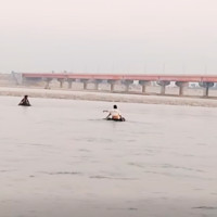 करोडौँको जैतुन खेती अलपत्र