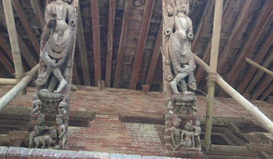 यौन चेतना दिने टुँडाल