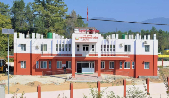 करार कर्मचारी हटाउन आनाकानी