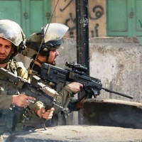 जुनार खेतीमा सुडे पुतलीकाे प्रकोप