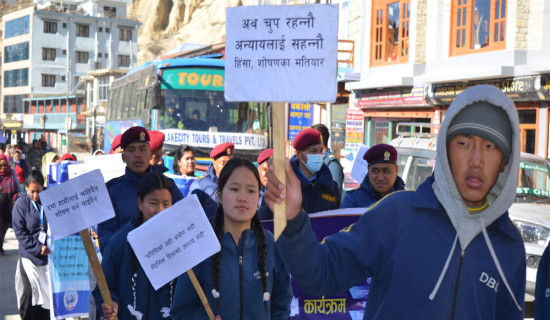 जुनार खेतीमा सुडे पुतलीकाे प्रकोप