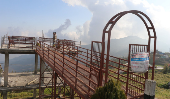 उपचारका लागि ब्रेन डेथ प्रक्रियाको सुरुवात गर्ने : स्वास्थ्यमन्त्री पौडेल