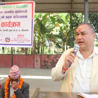 एनपिएल : टस जितेको विराटनगर बलिङ गर्दै