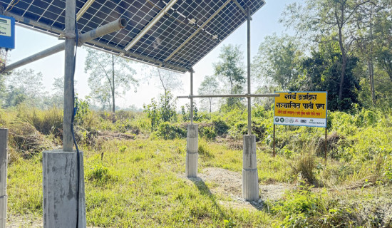वन्यजन्तुका लागि सौर्य ऊर्जाबाट पानीको व्यवस्था