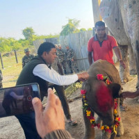 युवा सङ्घको आक्रमणबाट जेनजी नेता घाइते