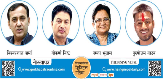 निर्वाचनमा होमिँदै दल र जेनजी