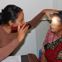 निर्वाचनमा होमिँदै दल र जेनजी