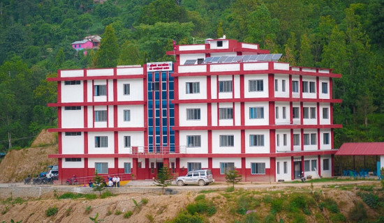 निर्वाचनमा होमिँदै दल र जेनजी