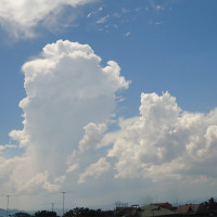 एनपिएलः आज दुई खेल हुँदै