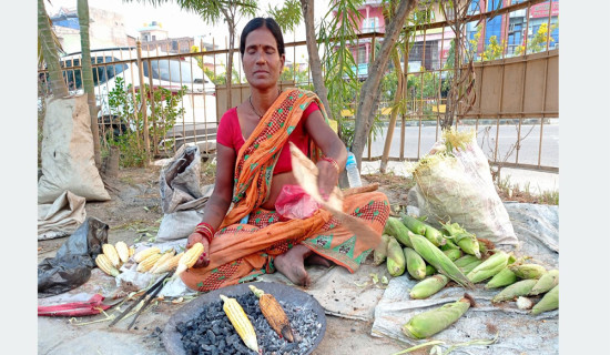 ‘गुजाराको आधार सडकपेटी’