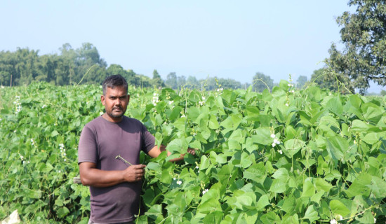 आधारभूत प्रशिक्षण कार्यक्रम सम्पन्न