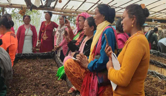 सशस्त्र प्रहरी महानिरीक्ष कप सुरु