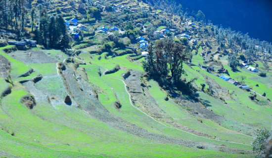 मजिउनवासीको पीडा : सिटामोल लिन एक दिनको पैदल