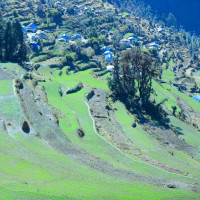 सारङ्गीको धुनसँगै दुई दशकको यात्रा