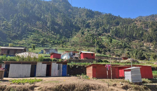 सारङ्गीको धुनसँगै दुई दशकको यात्रा