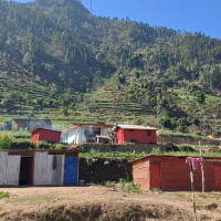 आजका लागि यस्तो छ विदेशी मुद्राको विनिमय दर